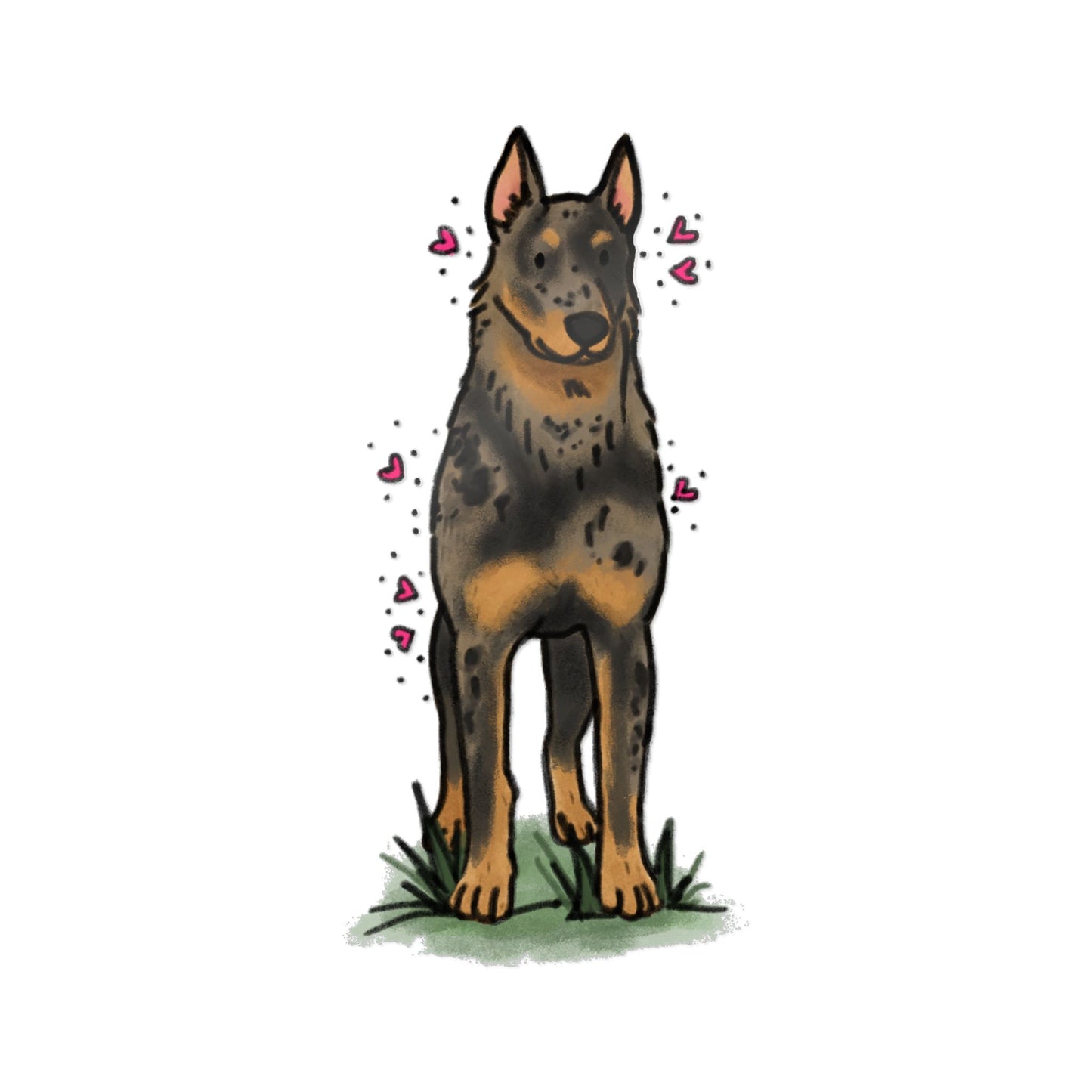 PermaDecal (indoor/outdoor) Beauceron