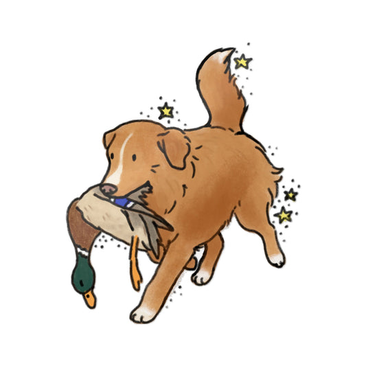 PermaDecal (indoor/outdoor) Toller