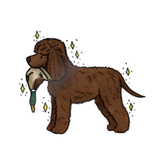PermaDecal (indoor/outdoor) Irish Water Spaniel