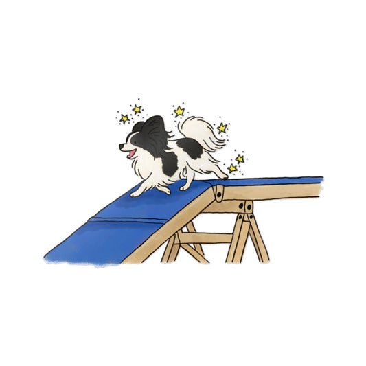 PermaDecal (indoor/outdoor) Papillon Agility