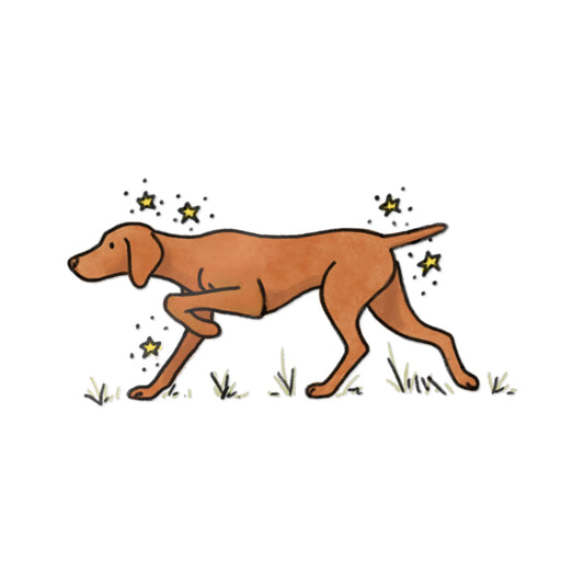 PermaDecal (indoor/outdoor) Vizsla