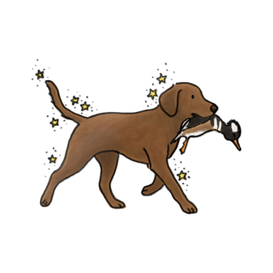 PermaDecal (indoor/outdoor)