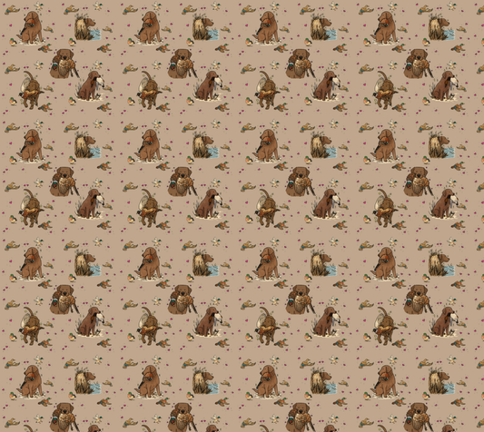 Chocolate Labrador Retriever