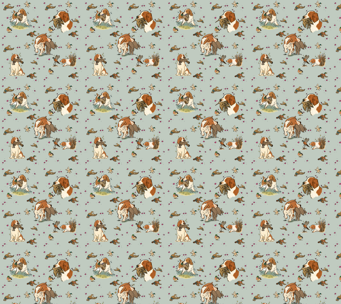 Welsh Springer Spaniel