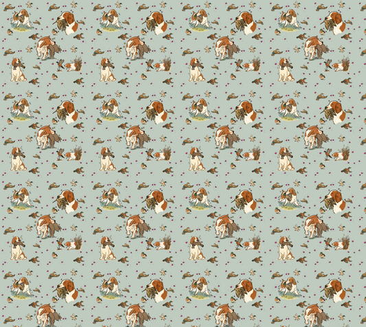 Welsh Springer Spaniel