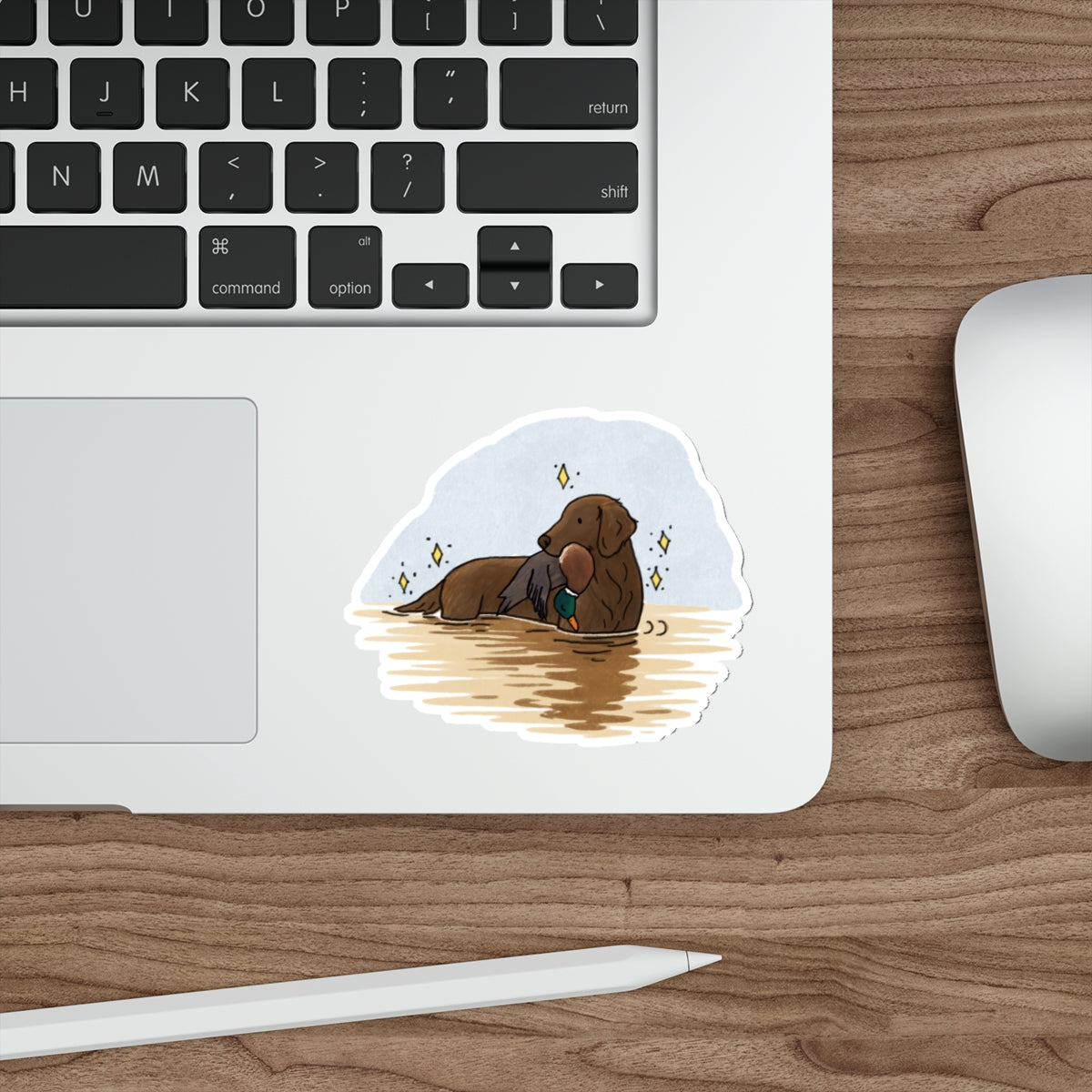 Die-Cut Sticker (indoor/outdoor)