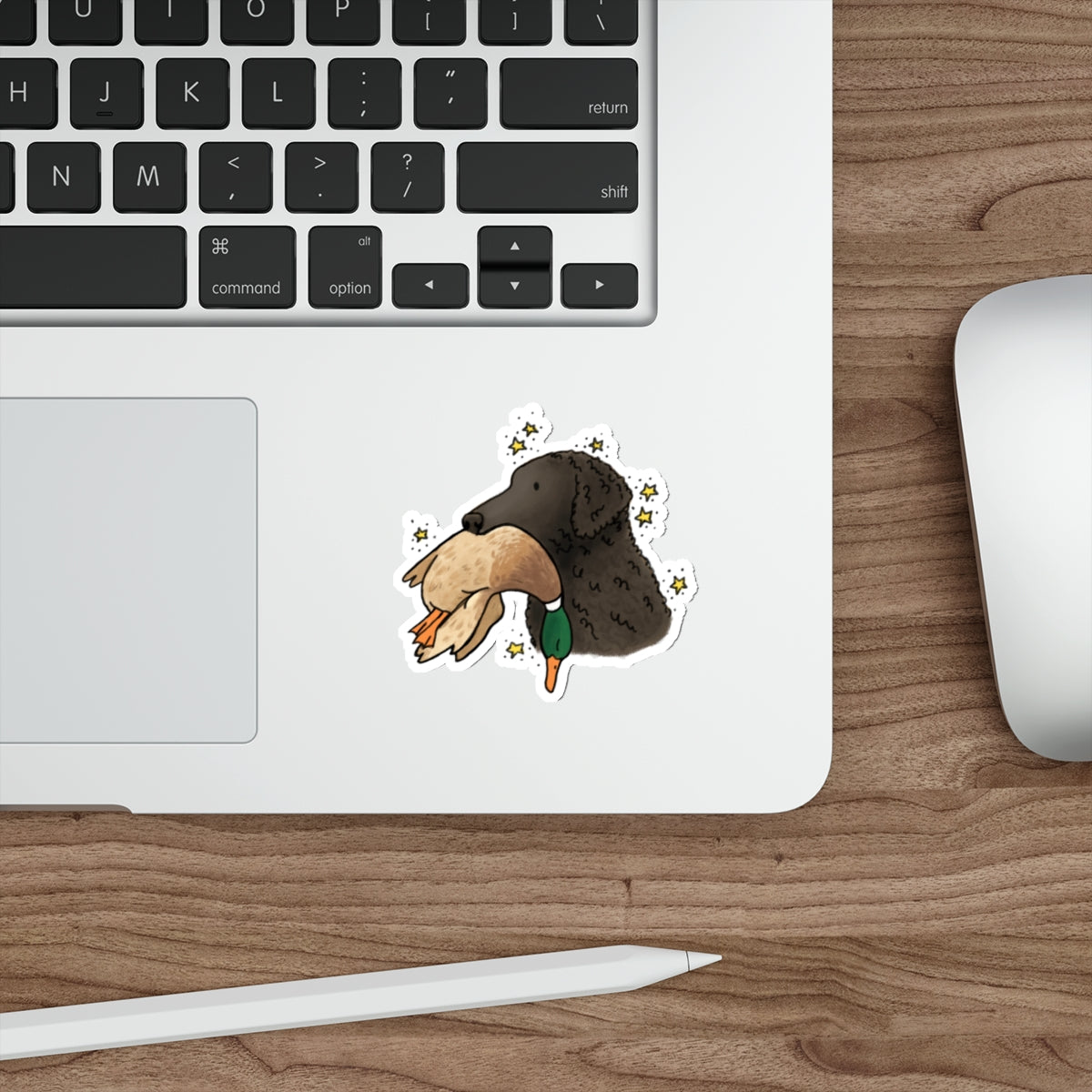 Die-Cut Sticker (indoor/outdoor)