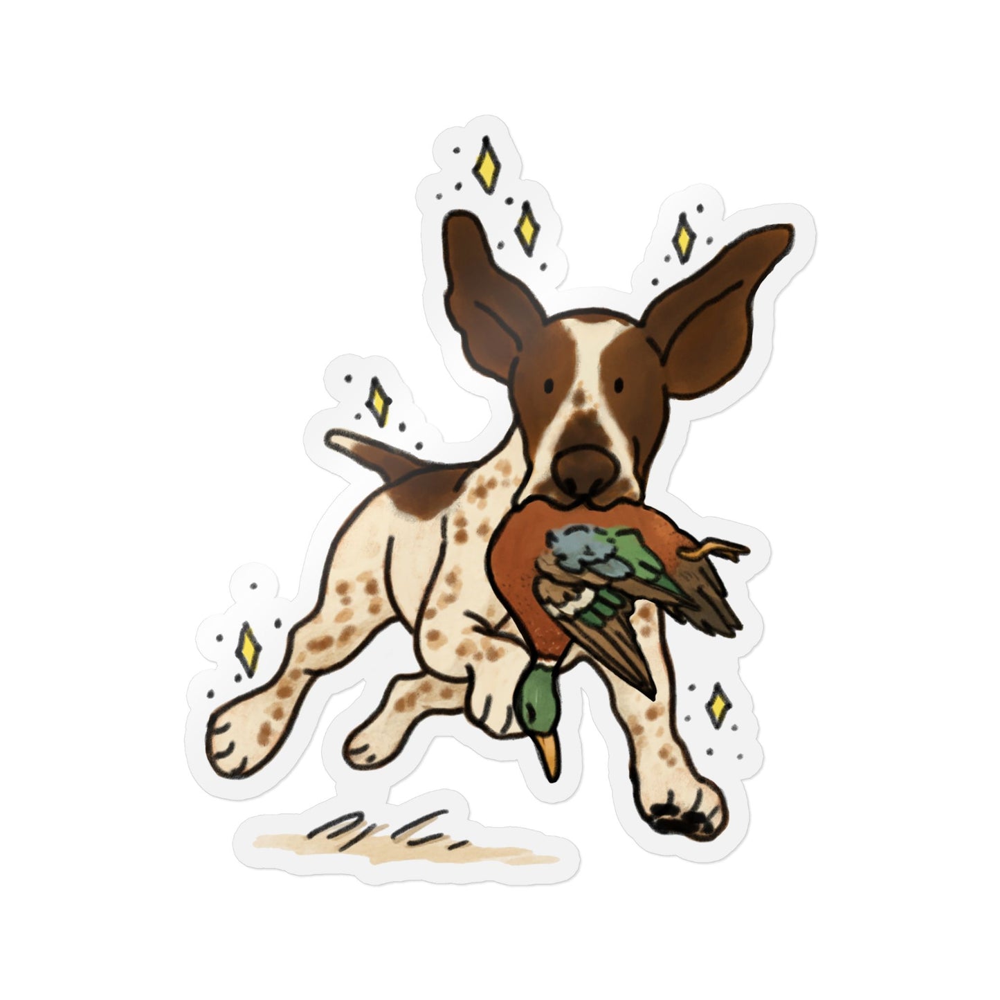 PermaDecal (indoor/outdoor) Bracco Italiano