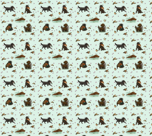 Flat-Coated Retriever