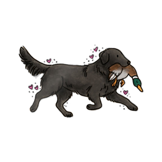 PermaDecal (indoor/outdoor)