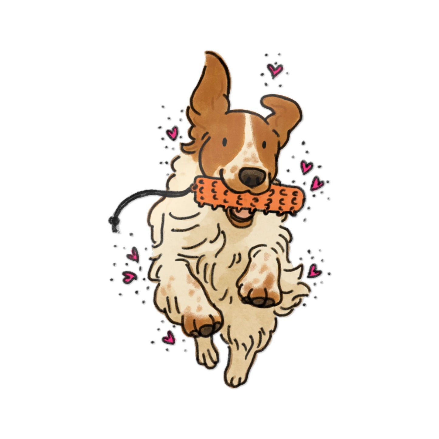 PermaDecal (indoor/outdoor) Welsh Springer Spaniel