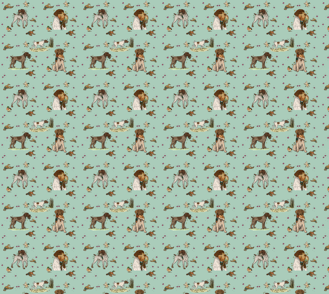 German Wire-Haired Pointer