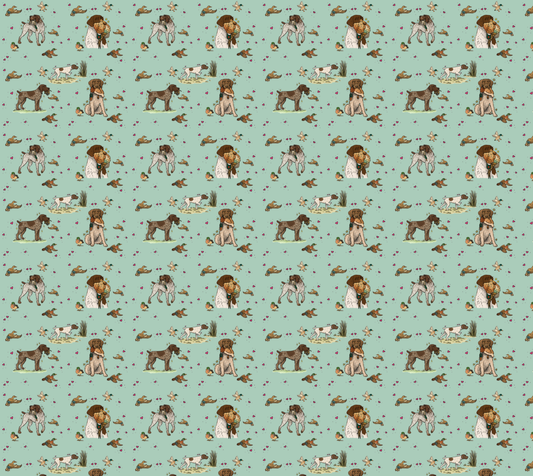 German Wire-Haired Pointer