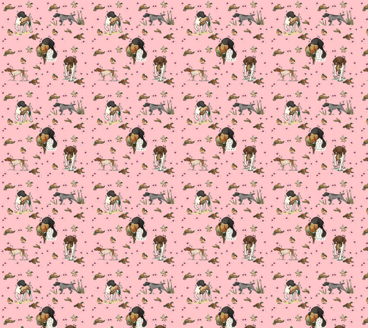 German Shorthaired Pointer