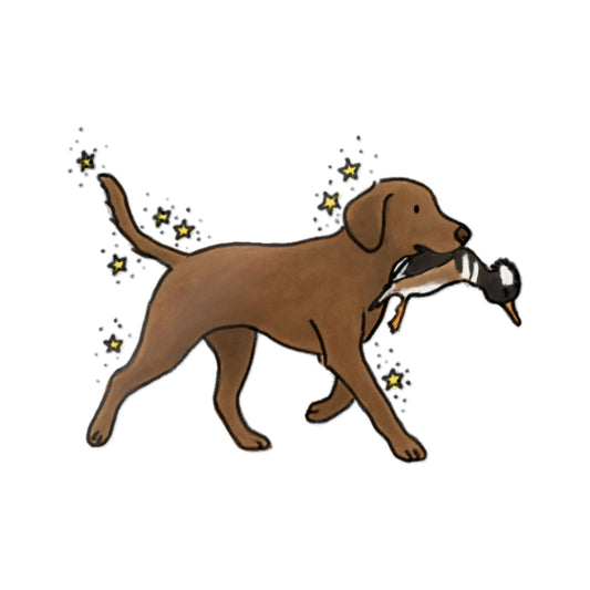 PermaDecal (indoor/outdoor)