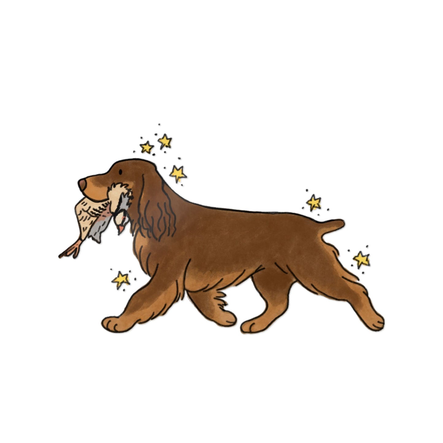 PermaDecal (indoor/outdoor) Field Spaniel