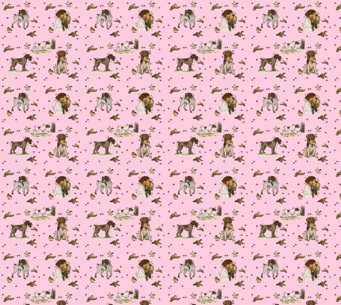 German Wire-Haired Pointer