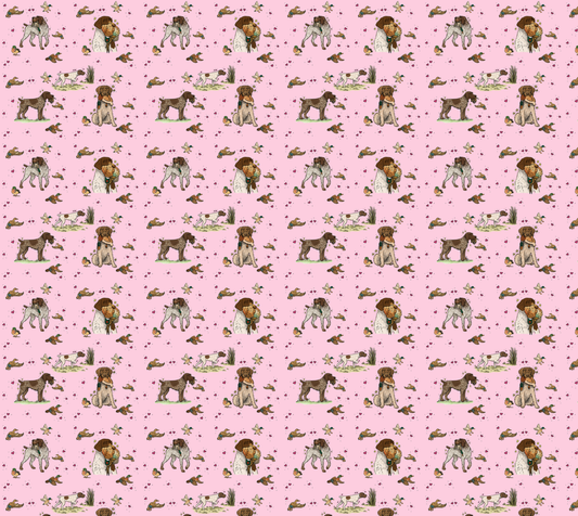 German Wire-Haired Pointer