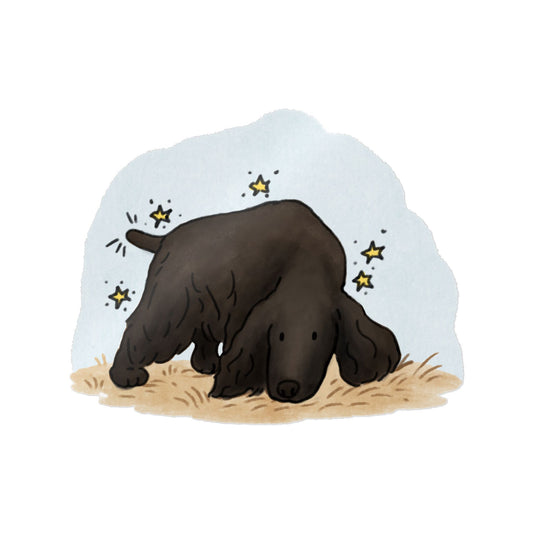PermaDecal (indoor/outdoor) Field Spaniel