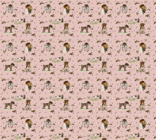 German Wire-Haired Pointer