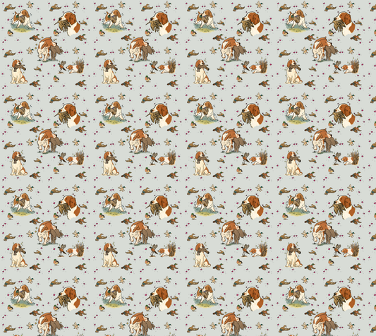 Welsh Springer Spaniel