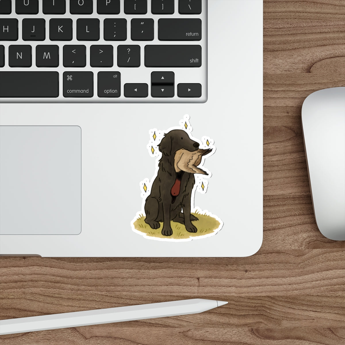 Die-Cut Sticker (indoor/outdoor)