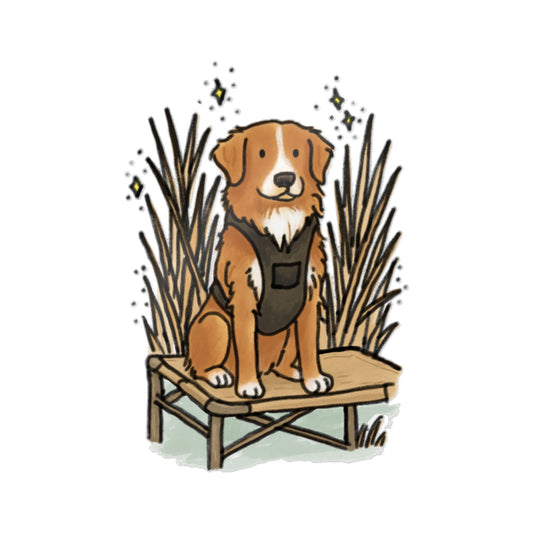PermaDecal (indoor/outdoor) Toller