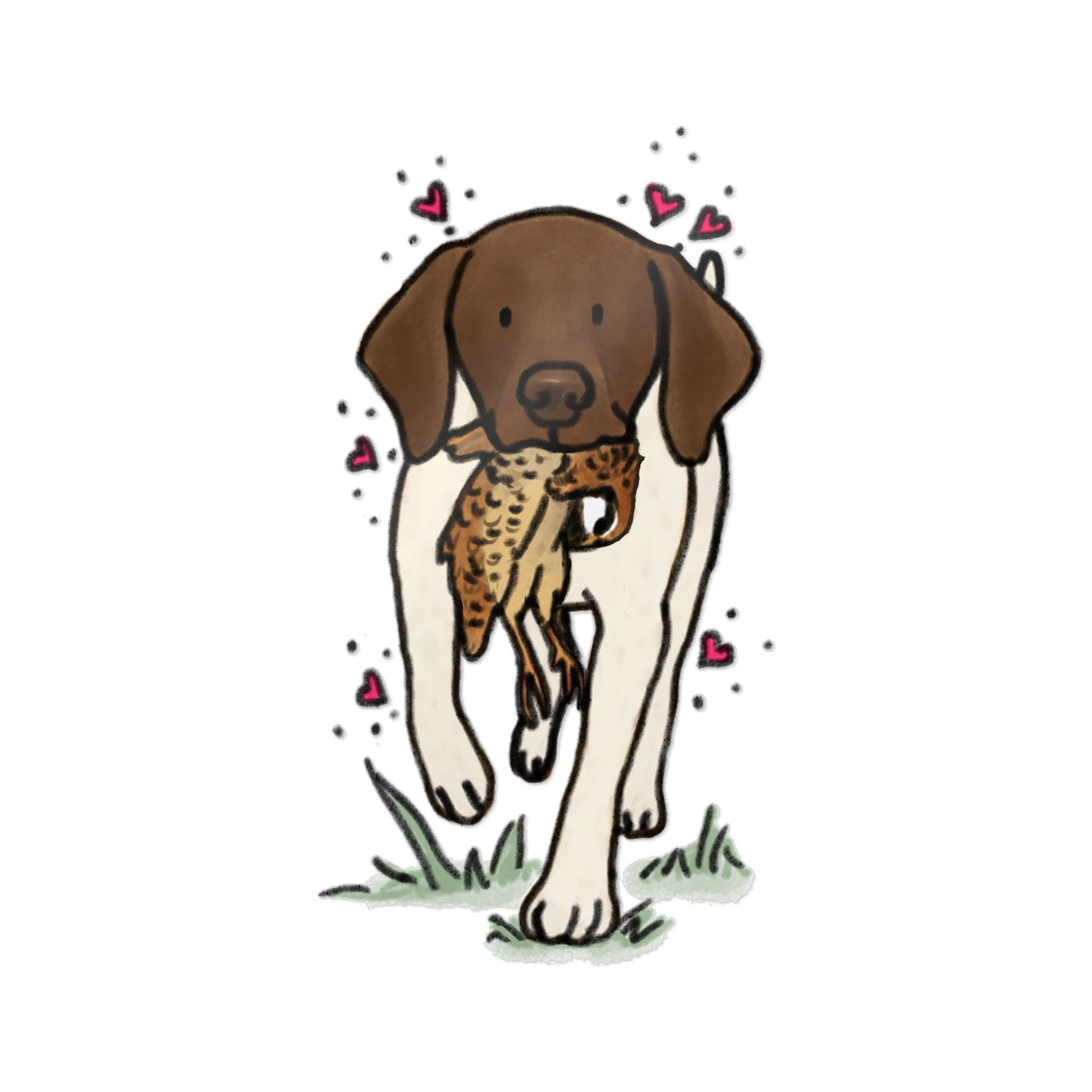 PermaDecal (indoor/outdoor) German Shorthaired Pointer