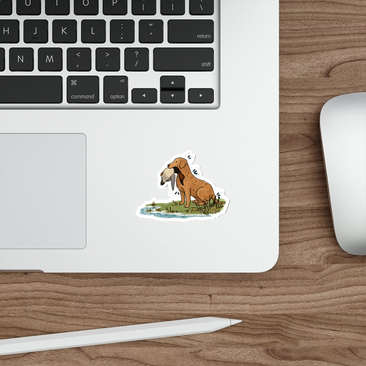 Die-Cut Sticker (indoor/outdoor)