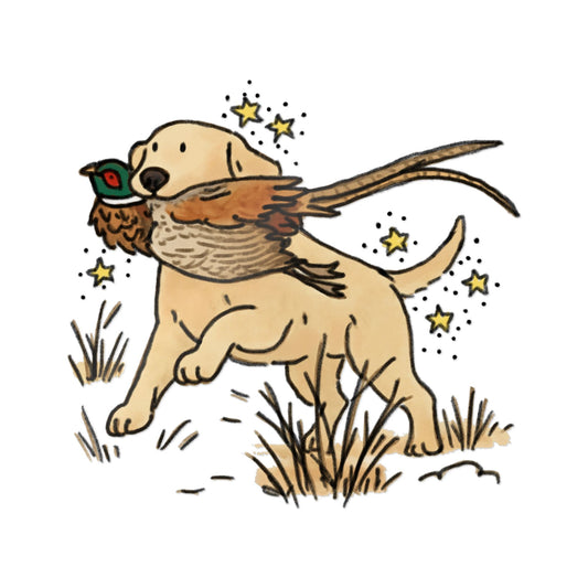 PermaDecal (indoor/outdoor)