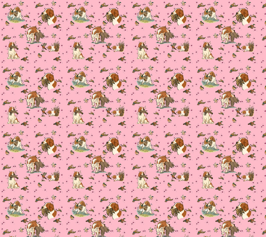 Welsh Springer Spaniel