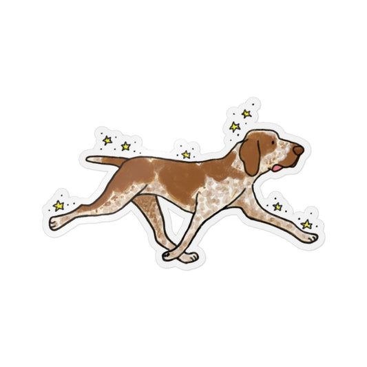 PermaDecal (indoor/outdoor) Bracco Italiano