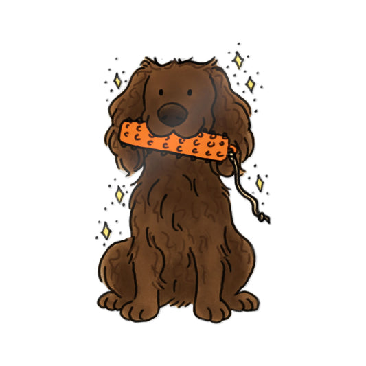 PermaDecal (indoor/outdoor) Boykin