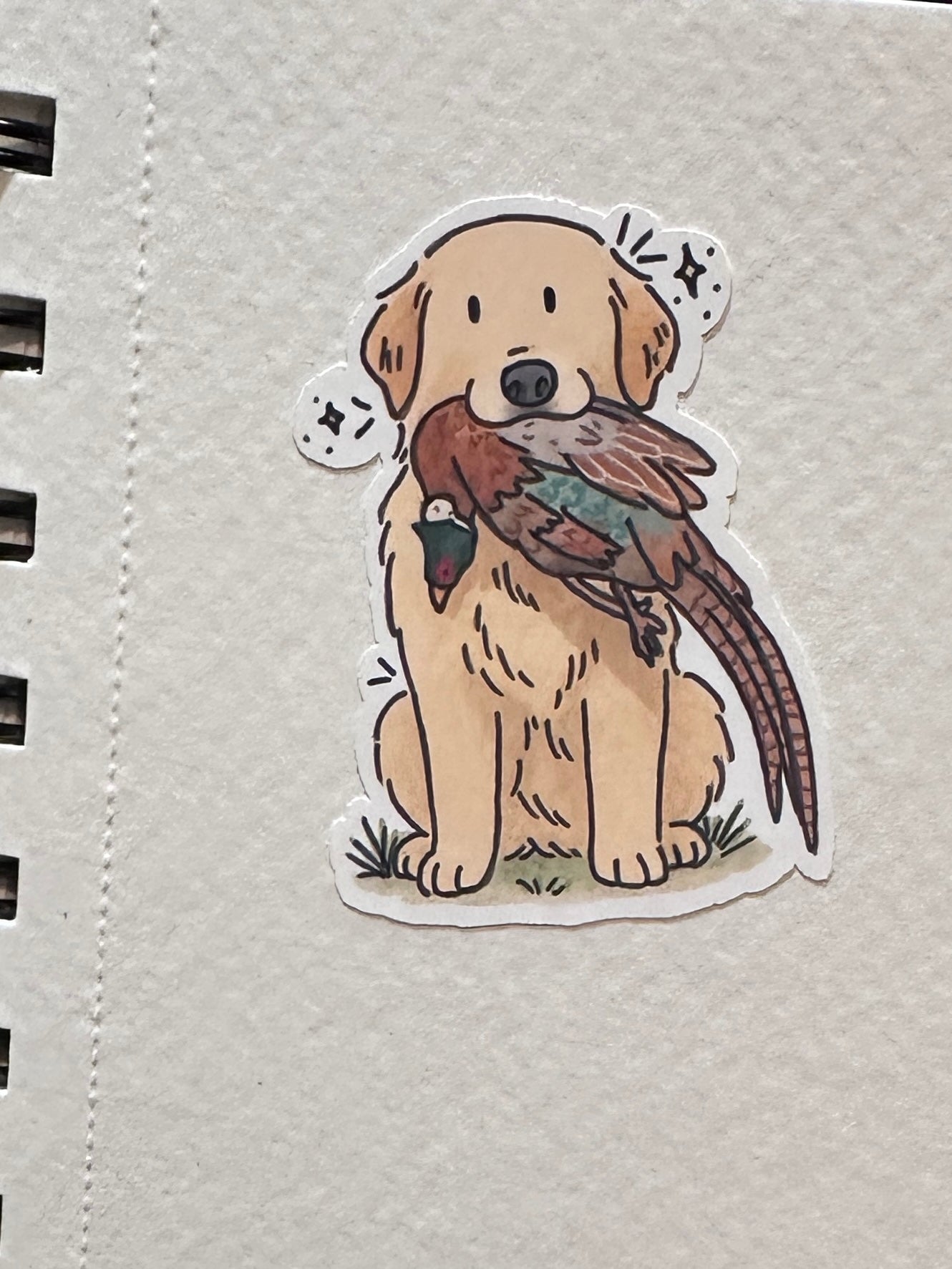 Golden Retriever Pheasant Hunt Sticker Sheet Set (2 sheets)