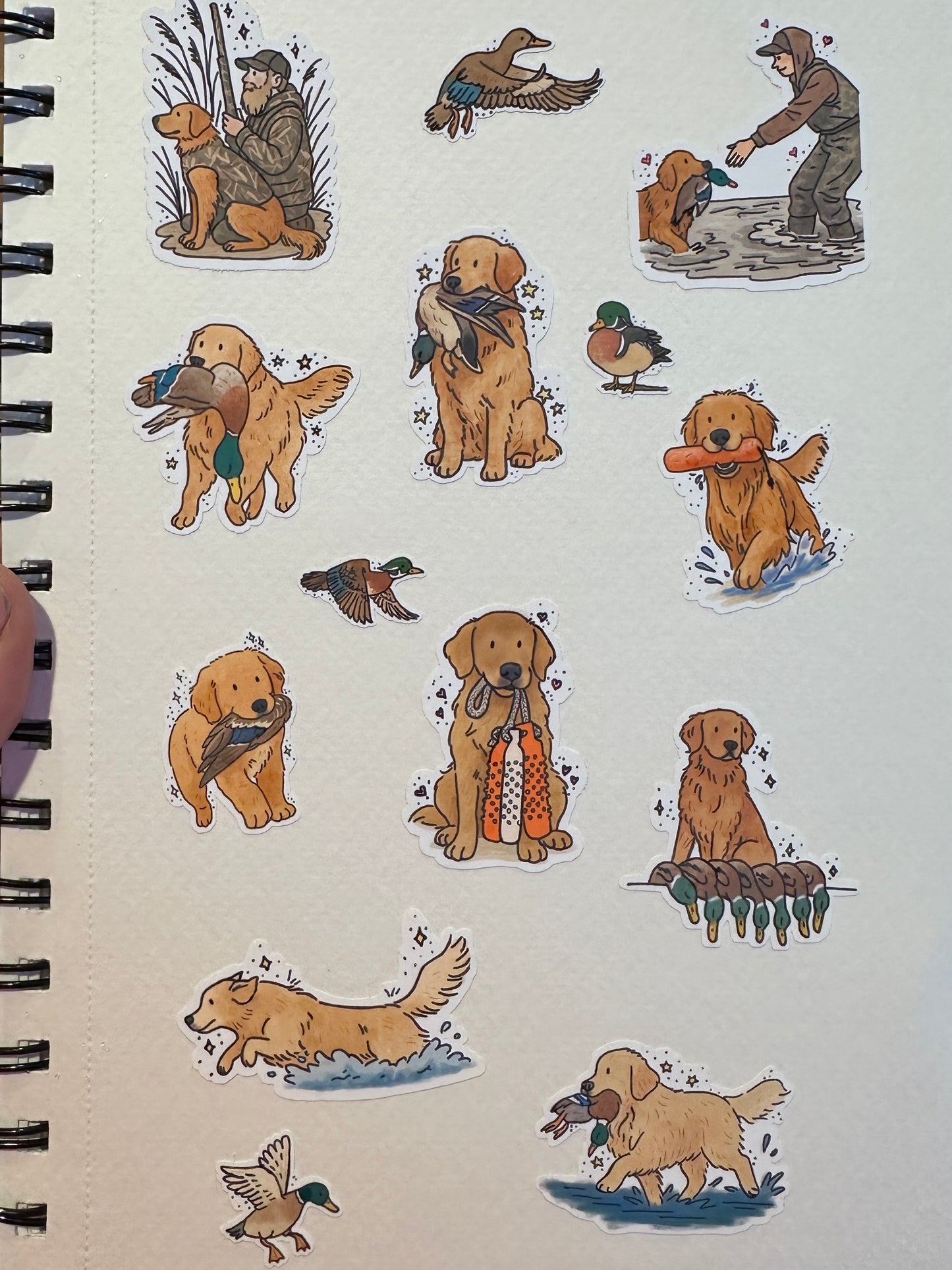 Golden Retriever Duck Hunt Sticker Sheet Set (2 sheets)