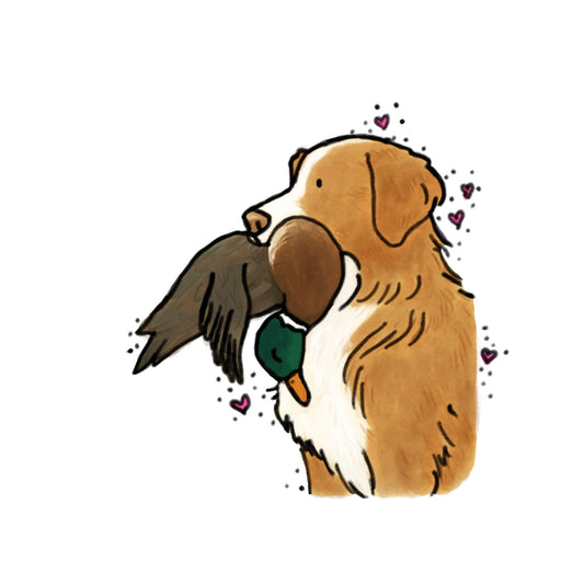 #1 Toller Car decals - 3 sizes to choose from