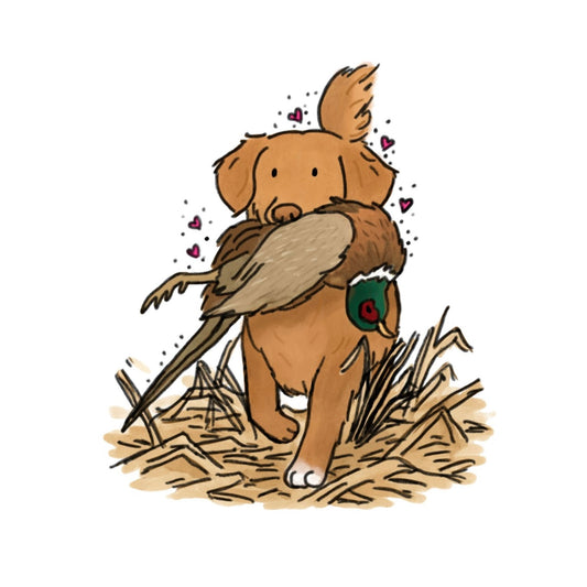 #2 Toller Car decals - 3 sizes to choose from