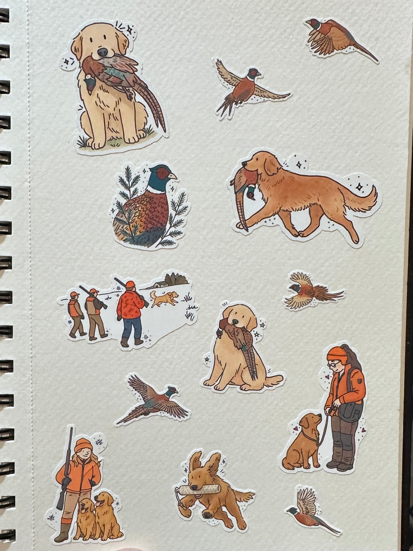Golden Retriever Pheasant Hunt Sticker Sheet Set (2 sheets)