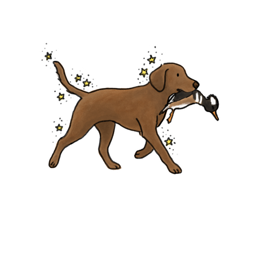 Choclate Lab #8 Car decals - 3 sizes to choose from