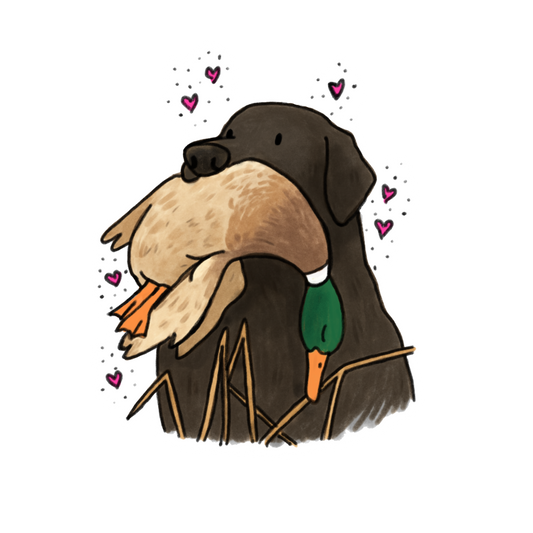 Black Lab Car decals - 3 sizes to choose from