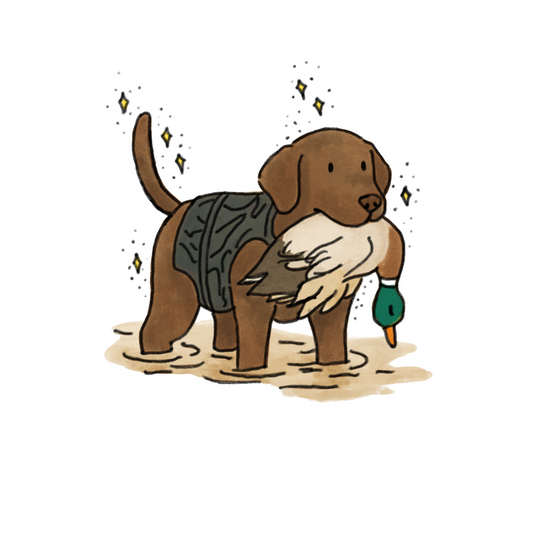 Choclate Lab #2 Car decals - 3 sizes to choose from