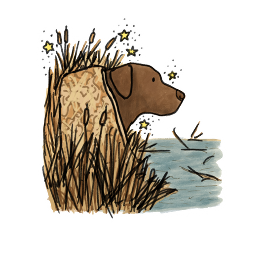 Choclate Lab #3 Car decals - 3 sizes to choose from