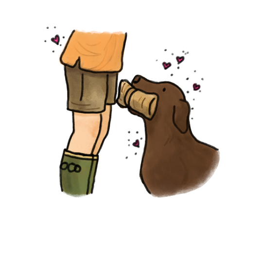 Choclate Lab #4 Car decals - 3 sizes to choose from