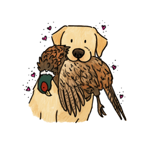 Yellow Lab Car decals - 3 sizes to choose from