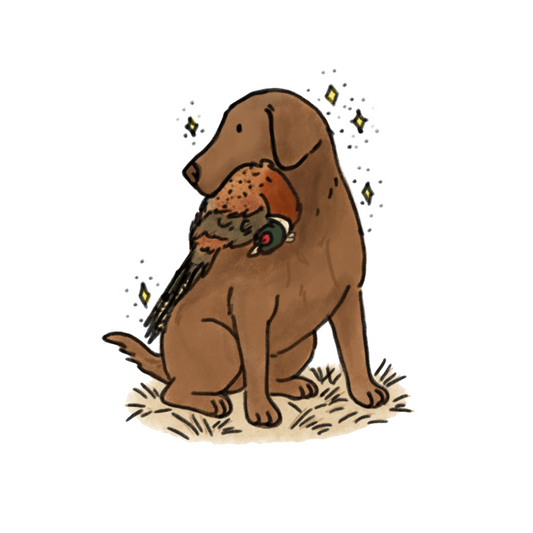 Chocolate Lab Car decals - 3 sizes to choose from