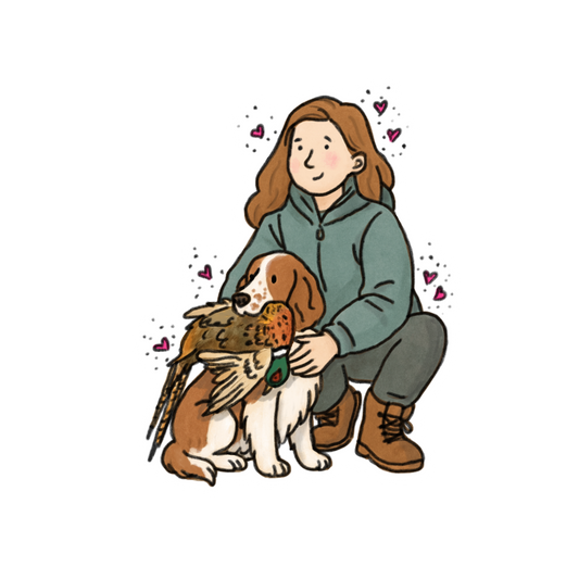 Welsh Springer Spaniel Car decals - 3 sizes to choose from