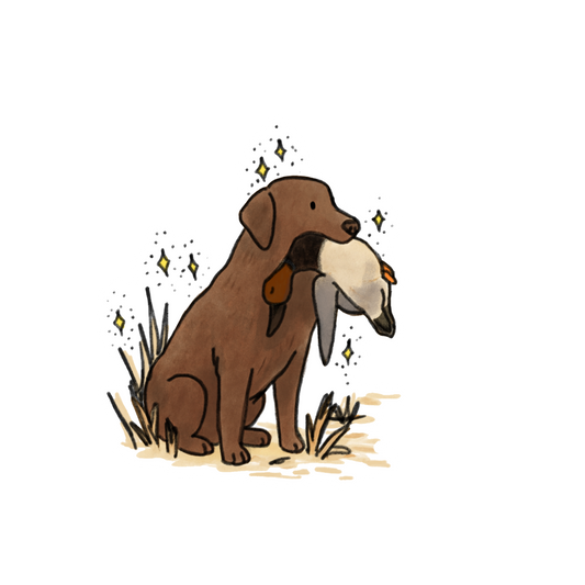 Choclate Lab #7 Car decals - 3 sizes to choose from