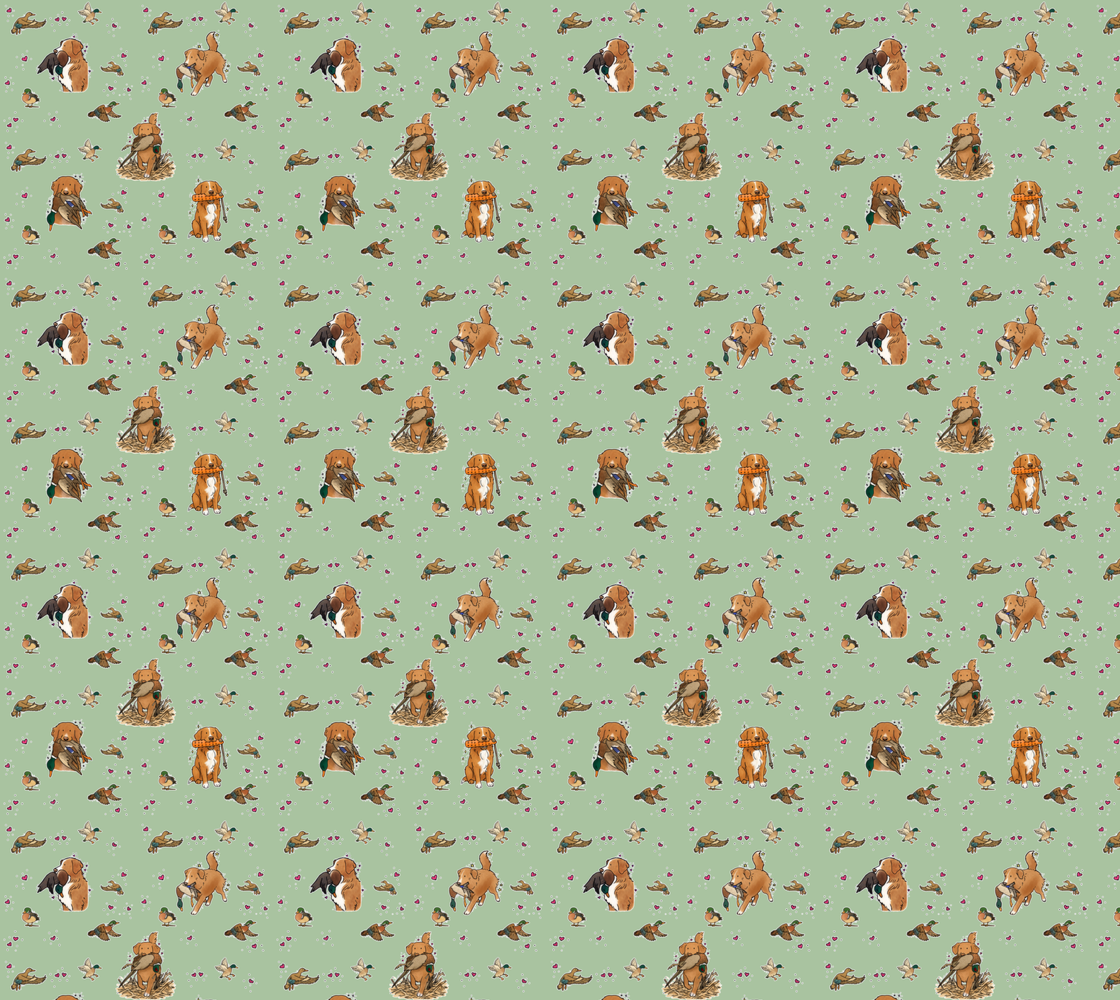 Nova Scotia Duck Tolling Retriever