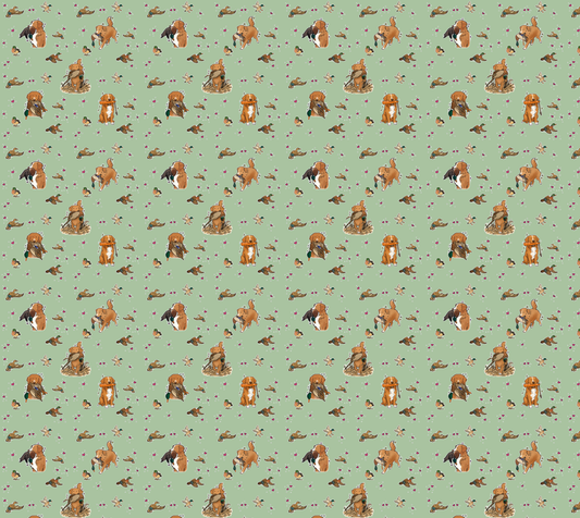 Nova Scotia Duck Tolling Retriever