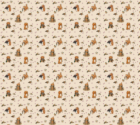 Nova Scotia Duck Tolling Retriever